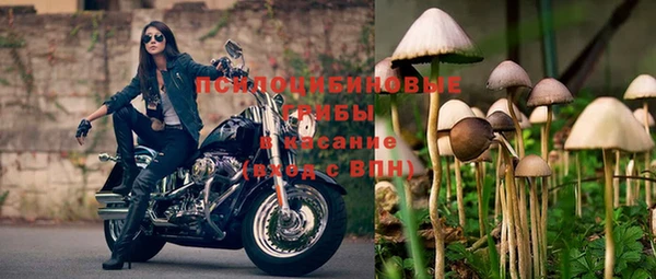 2c-b Белокуриха