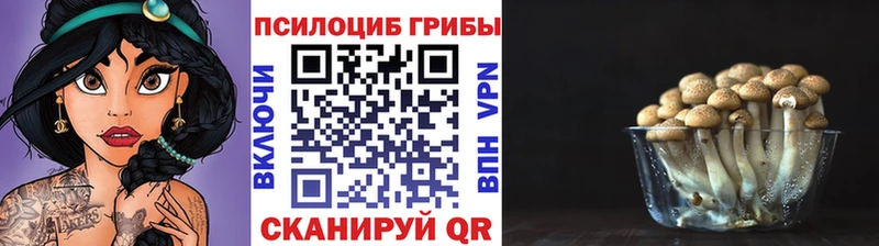 Купить  Луга  Галлюциногенные грибы GOLDEN TEACHER 